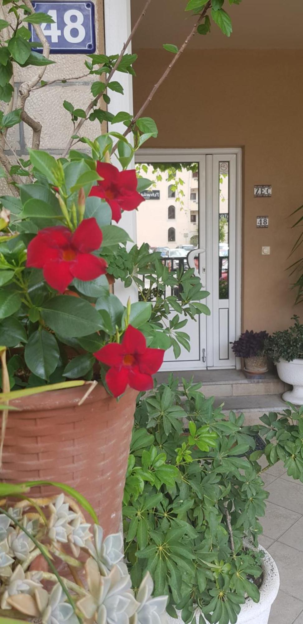 Villa Pedja Zec Exclusive 3+ Budva Buitenkant foto